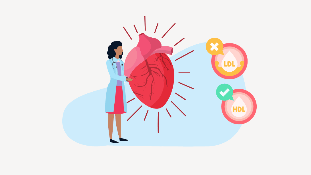 Was verursacht einen hohen Cholesterinspiegel? Ursachen, Symptome und Lösungen